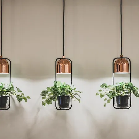 Tatrytop Zamoyskiego 2 *