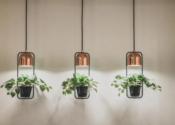 Tatrytop Zamoyskiego 2 *