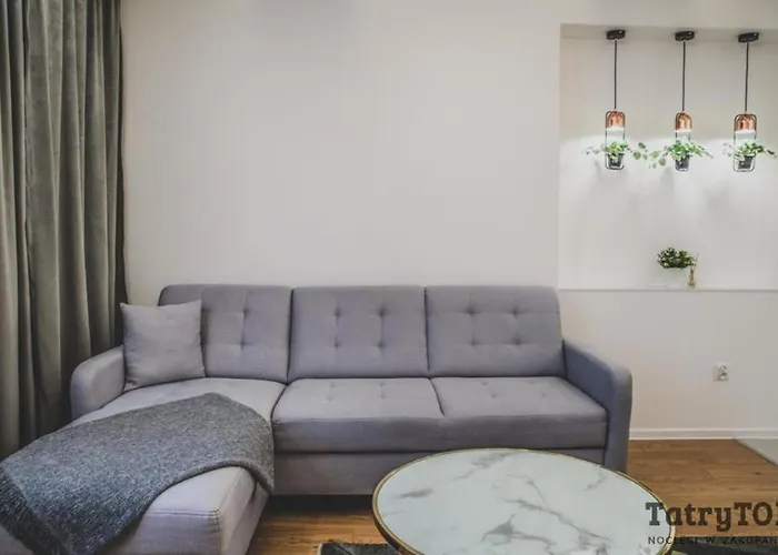 アパート Tatrytop Zamoyskiego 2 ザコパネ